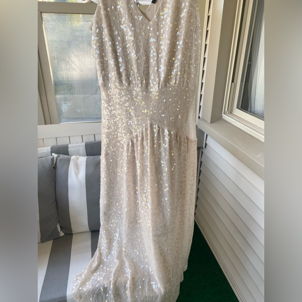 Express Sequin V-Neck Midi Dress! - Picture 4 of 14